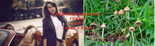 бутират Горняк