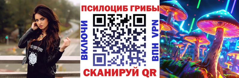 Псилоцибиновые грибы Psilocybine cubensis Каргат